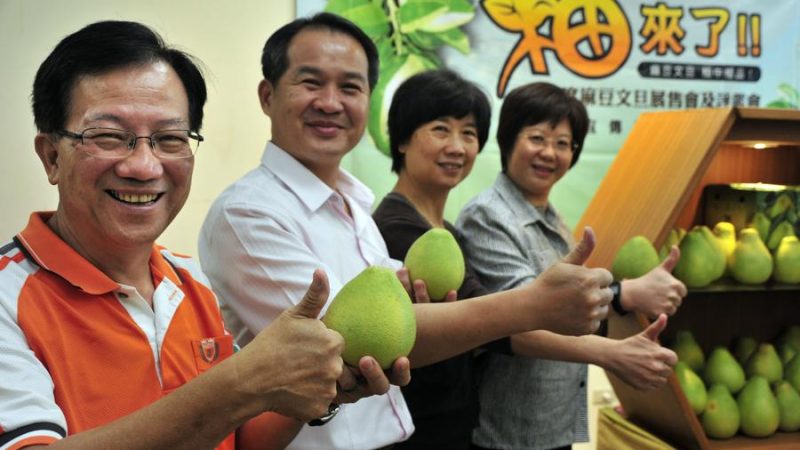 Parte continental retoma importação de pomelo Wendan de Taiwan