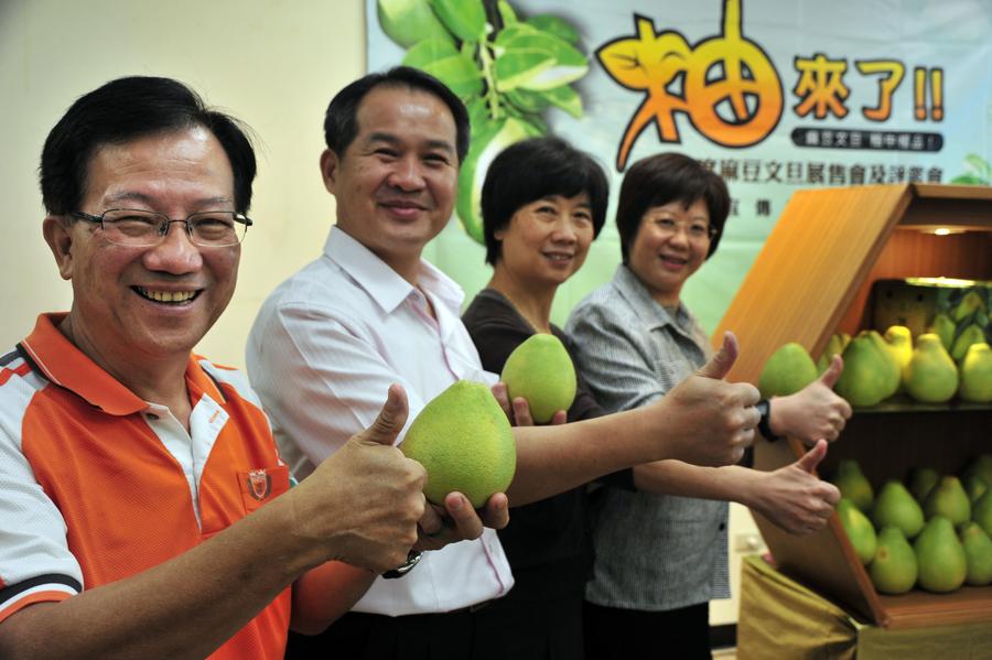 Parte continental retoma importação de pomelo Wendan de Taiwan