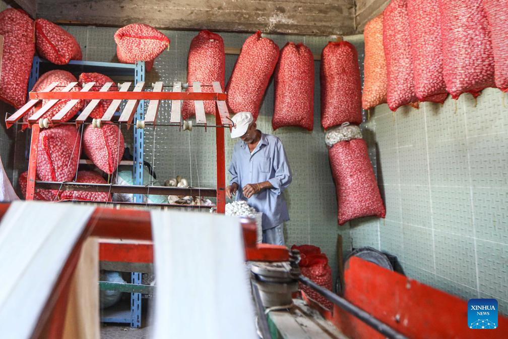 Criação de bichos-da-seda transforma vidas em vila rural no norte do Egito