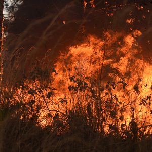 Incêndios no Brasil entre junho e agosto causaram prejuízos de pelo menos US$ 2,7 bilhões ao agronegócio