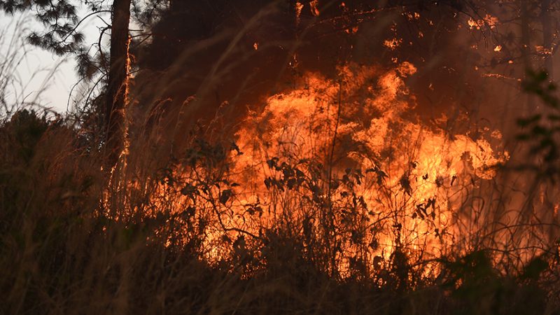 Incêndios no Brasil entre junho e agosto causaram prejuízos de pelo menos US$ 2,7 bilhões ao agronegócio