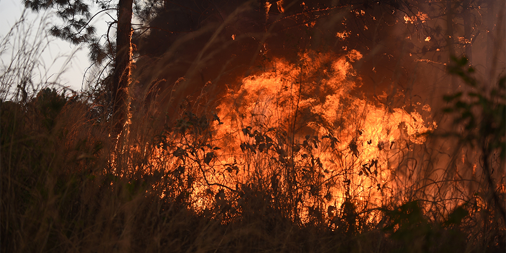 Incêndios no Brasil entre junho e agosto causaram prejuízos de pelo menos US$ 2,7 bilhões ao agronegócio