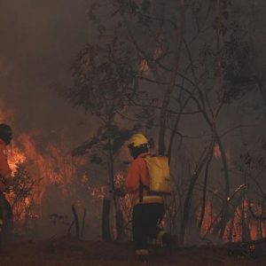 Governo brasileiro anuncia que destinará imediatamente US$ 93 milhões para combate a incêndios em todo o país