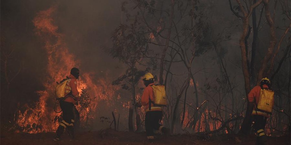 Governo brasileiro anuncia que destinará imediatamente US$ 93 milhões para combate a incêndios em todo o país