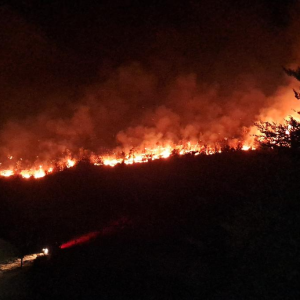 Destaque: Amizade forjada em chamas: ajuda chinesa salva vilas sérvias de incêndio devastador