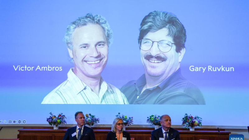 Prêmio Nobel de Medicina 2024 homenageia 2 cientistas pela descoberta do microRNA