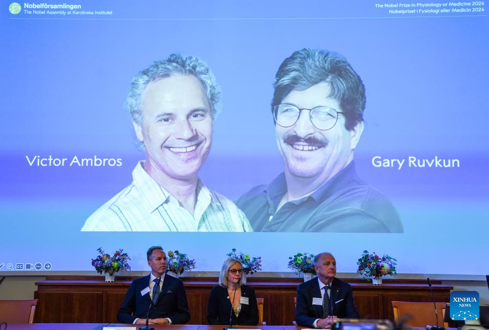 Prêmio Nobel de Medicina 2024 homenageia 2 cientistas pela descoberta do microRNA