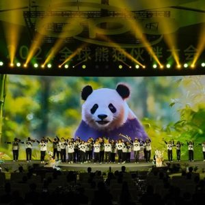 Parceiros Globais do Panda buscam a coexistência harmoniosa entre homem e natureza