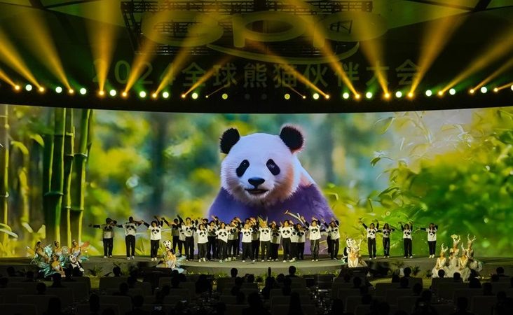 Parceiros Globais do Panda buscam a coexistência harmoniosa entre homem e natureza