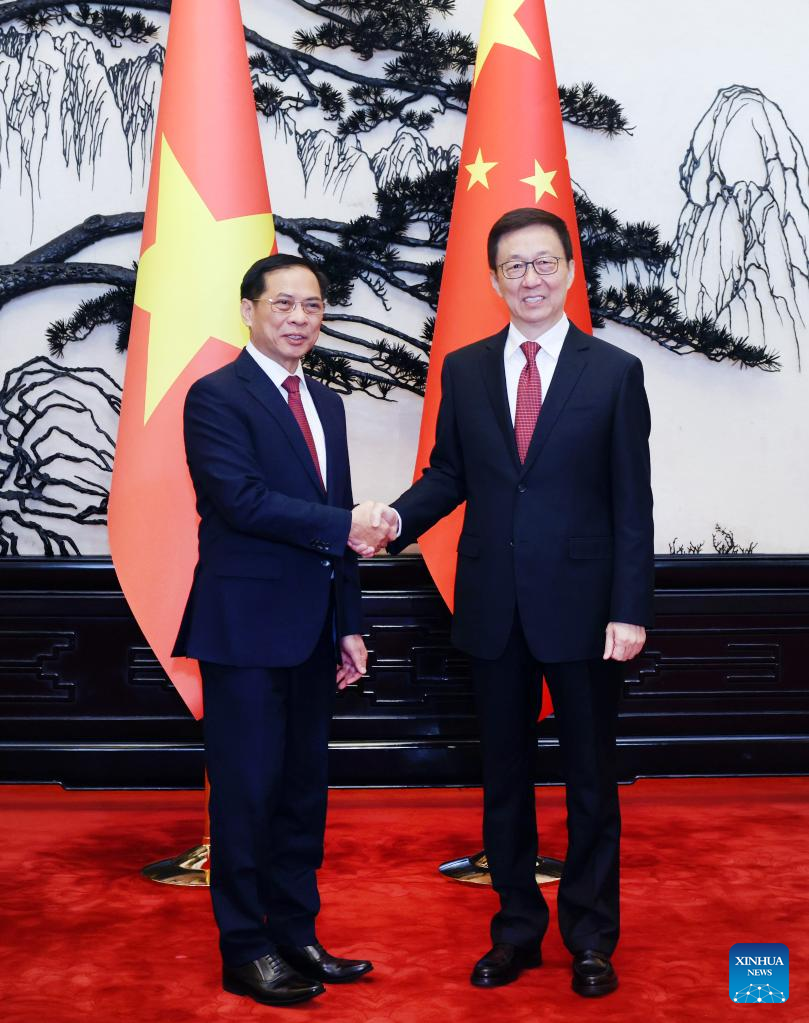 Vice-presidente da China reúne-se com vice-premiê do Vietnã