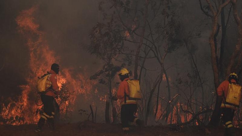 Área queimada no Brasil dobra este ano e se aproxima de 30 milhões de hectares