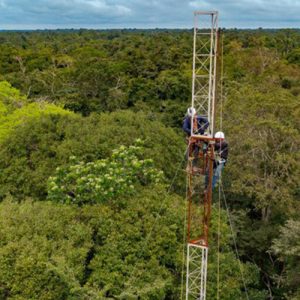 Brasil instala sua primeira torre no coração da Amazônia para monitorar emissões de gases de efeito estufa