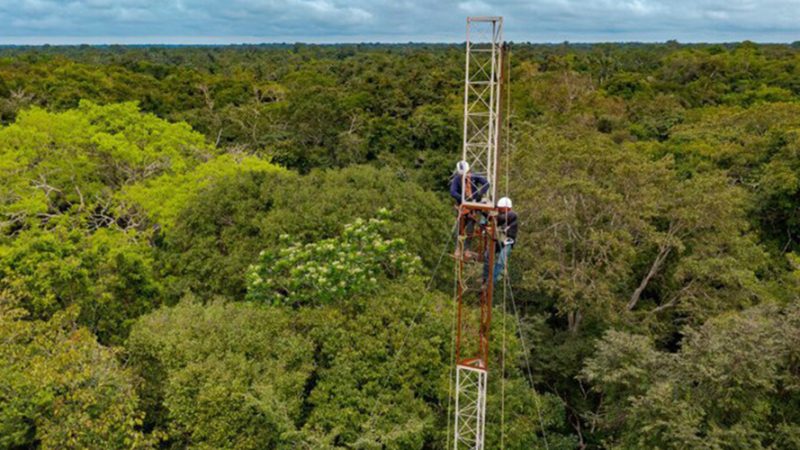 Brasil instala sua primeira torre no coração da Amazônia para monitorar emissões de gases de efeito estufa