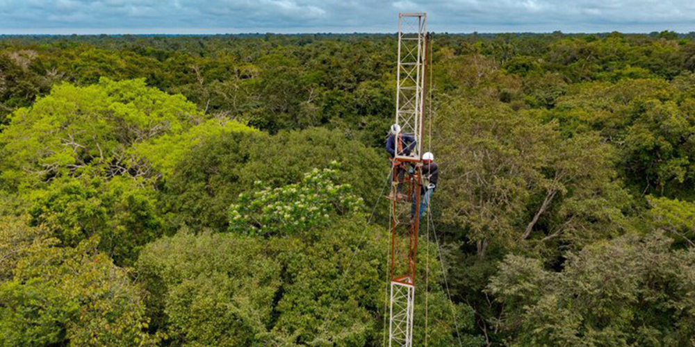 Brasil instala sua primeira torre no coração da Amazônia para monitorar emissões de gases de efeito estufa