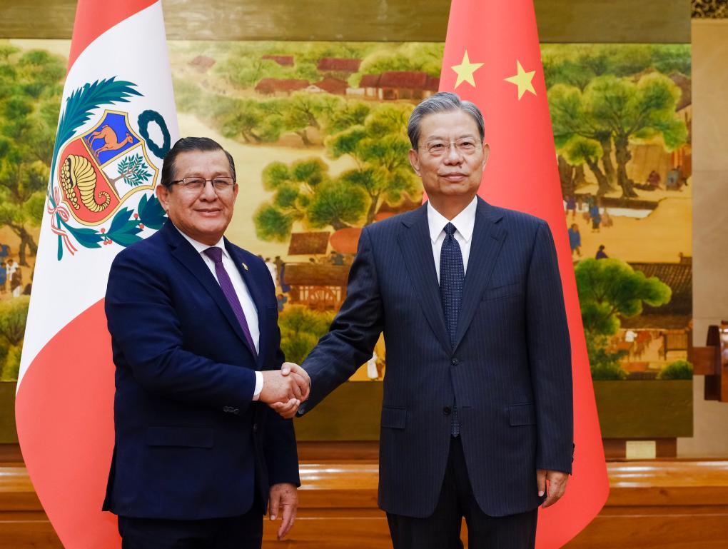 Chefe do Legislativo chinês mantém conversas com o presidente do Congresso do Peru