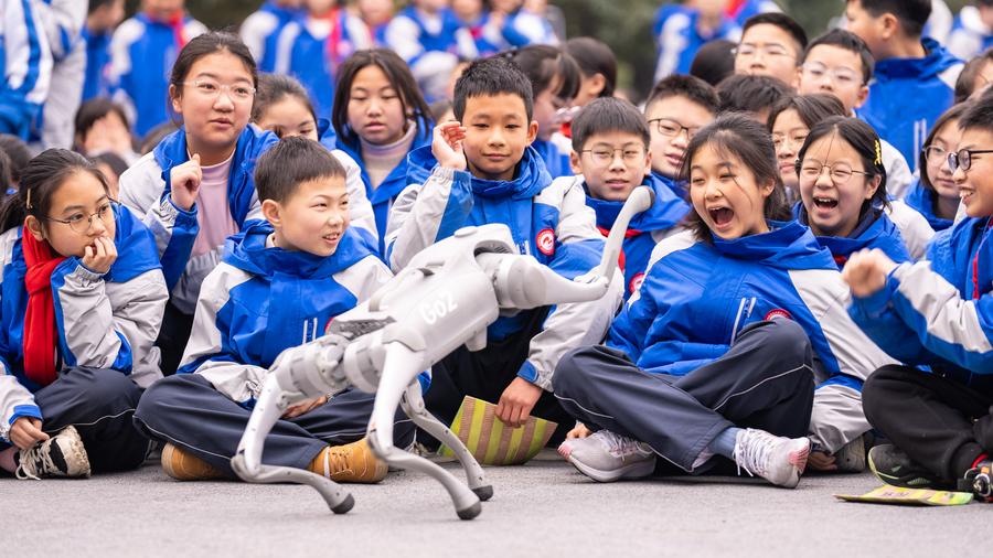 Poder de computação inteligente da China manterá rápido crescimento, diz relatório