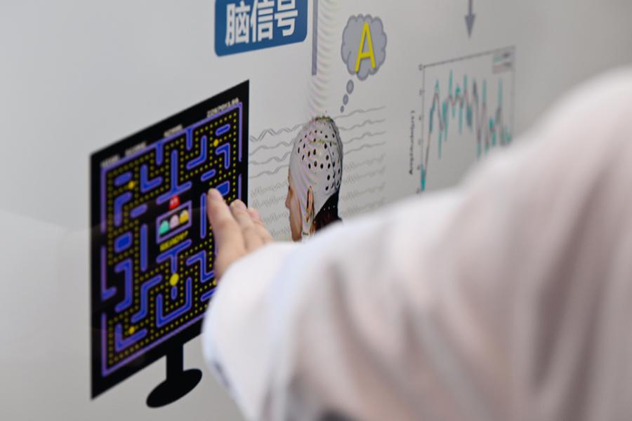 Cientistas chineses descobrem esquema complexo do córtex cerebral humano