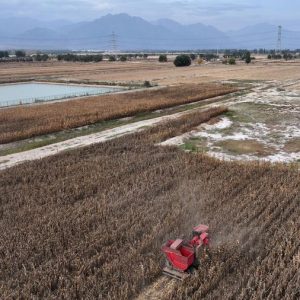  China expande programa de subsídio para substituir maquinário agrícola