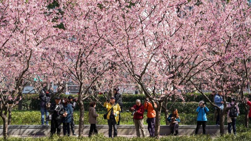 China aumentará gradualmente a idade de aposentadoria, diz especialista