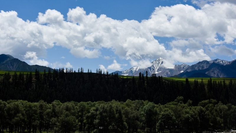 Xi destaca crescimento da economia de plataforma, pico de emissões e neutralidade de carbono