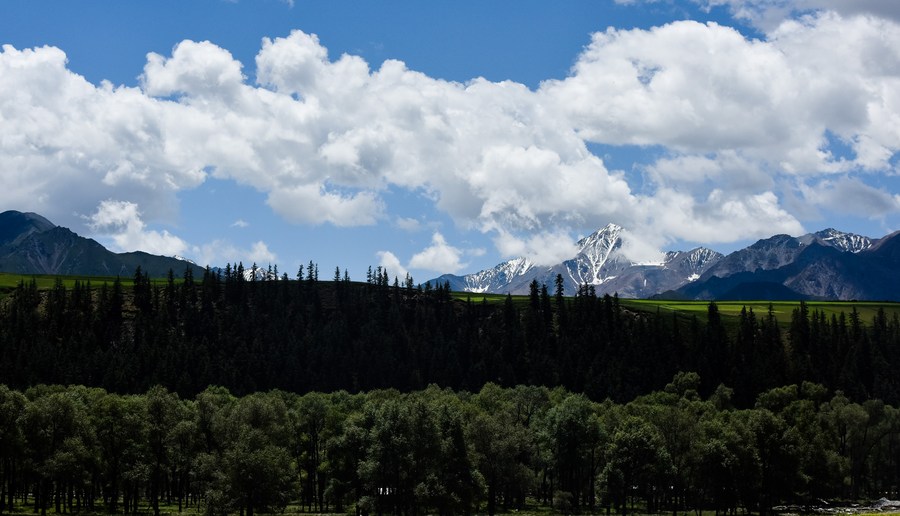 Xi destaca crescimento da economia de plataforma, pico de emissões e neutralidade de carbono