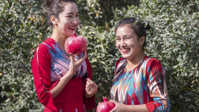 Não há “genocídio” ou “campos de concentração” em Xinjiang, diz funcionário do governo local