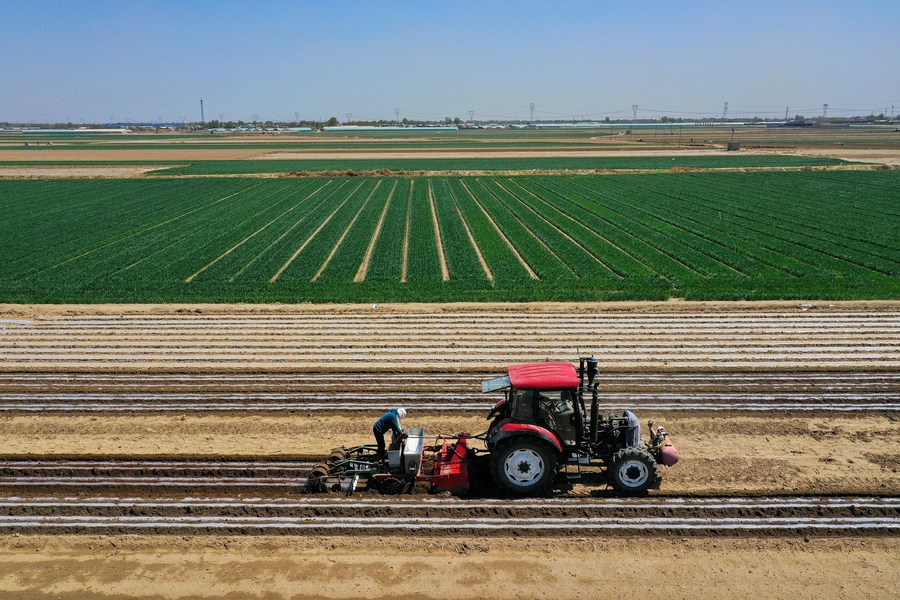 China estabilizará produção de grãos e garantirá segurança alimentar