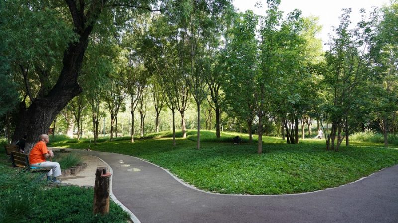 Práticas ambientais da China continuam contribuindo com sabedoria e força para proteção ecológica mundial, diz professora