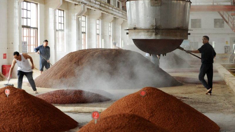 Principal marca de bebidas alcoólicas da China relata maior lucro