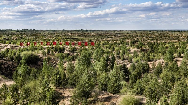 China intensifica proteção legal ao meio ambiente