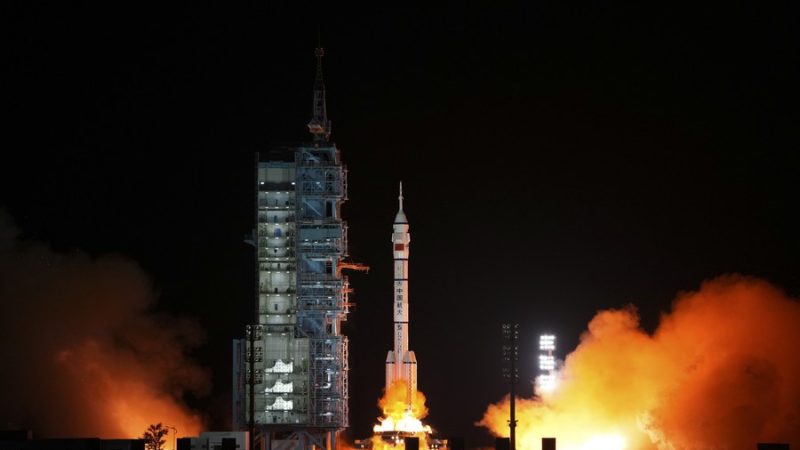 Plantas na nave espacial chinesa Shenzhou-15 começam a crescer