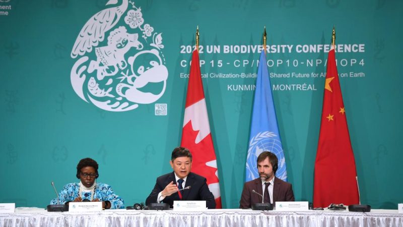 Presidente da COP15 está otimista sobre o progresso na conferência de biodiversidade da ONU