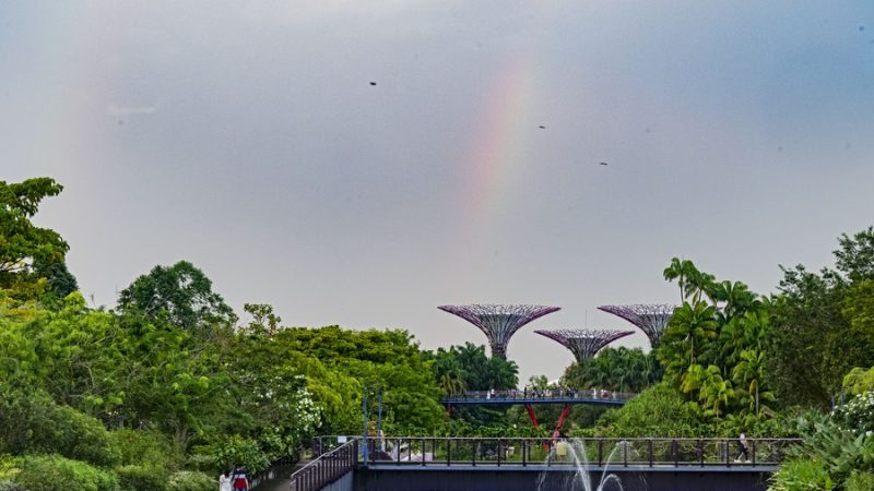 Chanceler chinês mantém conversas por telefone com seu homólogo de Cingapura