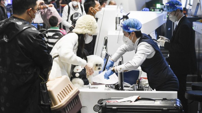 Hainan espera mais de 5,2 milhões de passageiros aéreos na temporada de viagens da Festa da Primavera