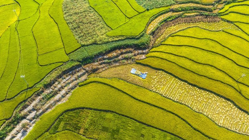 Qualidade geoquímica da terra na China está em boas condições, diz relatório