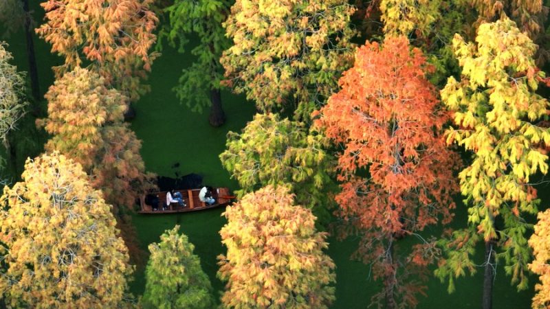China emite livro branco sobre desenvolvimento verde na nova era