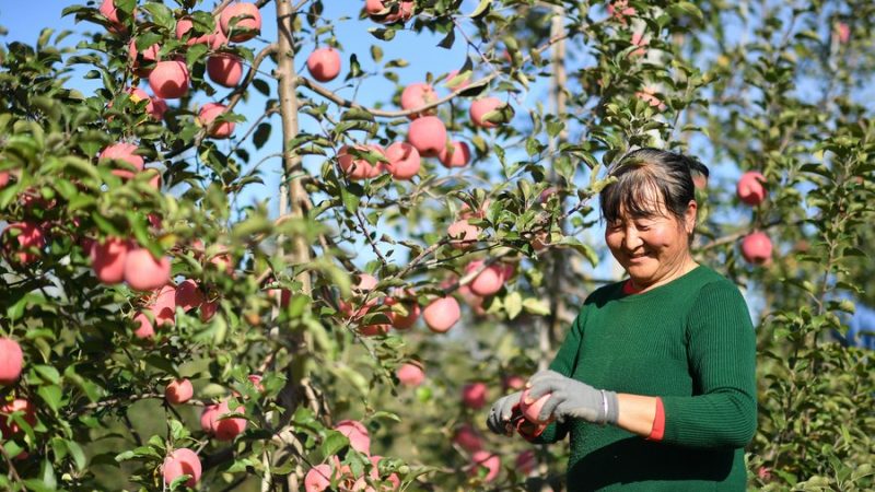 Renda de pessoas retiradas da pobreza cresce 14,3% em 2022