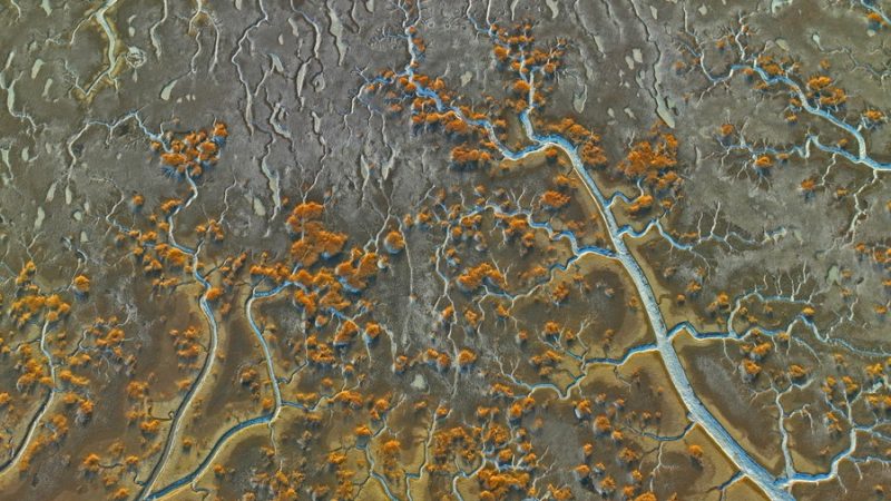 China acrescenta lugares à lista de Zonas Úmidas de Importância Internacional