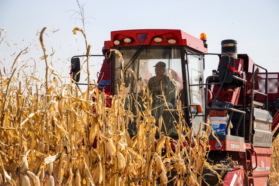 Brasil aprova novo marco para bioinsumos que garantirão um salto na agricultura