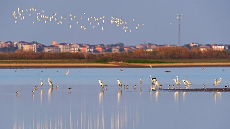 O maior lago de água doce da China vê aumento no nível de água