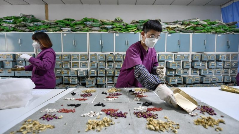 Identificadas 163 novas espécies de ervas no censo da medicina tradicional chinesa