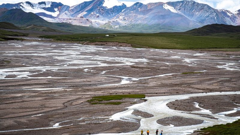 Hora do esporte para pandas gigantes em Shaanxi, na China