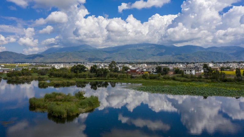 China registra mais casos de litígio de interesse público para proteger meio ambiente, diz relatório