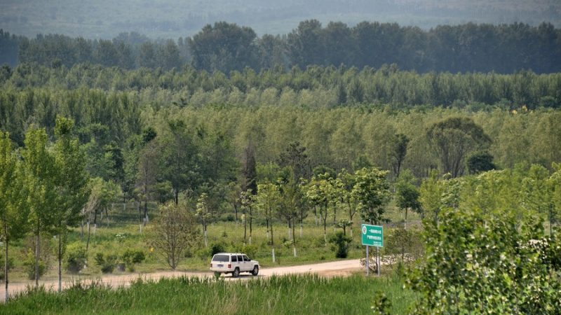 Beijing terá mais espaços verdes