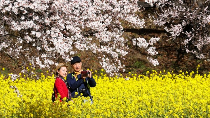 China promoverá desenvolvimento de alta qualidade do turismo online