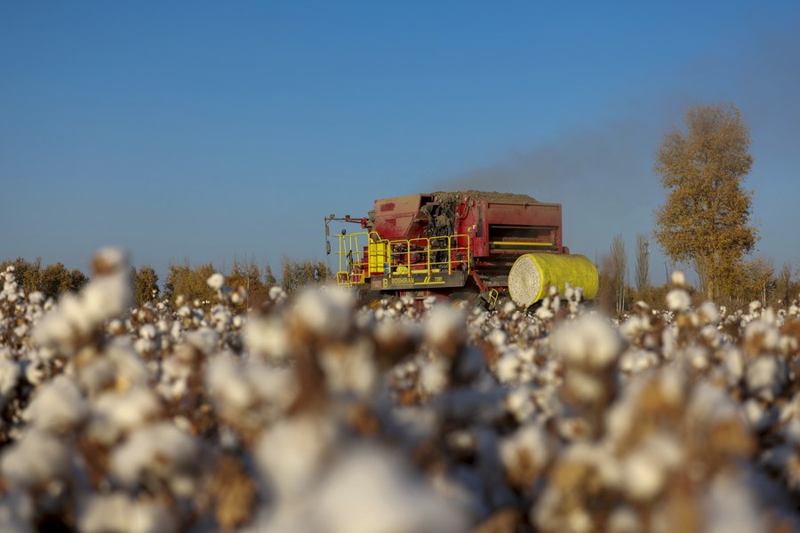 Principal região produtora de algodão da China começa a semear na primavera
