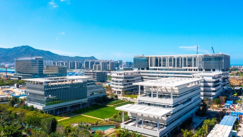 China coleta 124 mil novos recursos de germoplasma agrícola