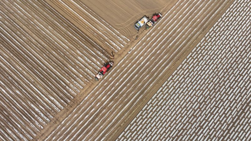 China tem temperaturas mais altas e menos chuvas do que o habitual em março