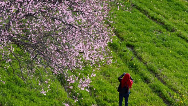 Região chinesa do Tibet recebe 2,55 milhões de turistas no primeiro trimestre de 2023