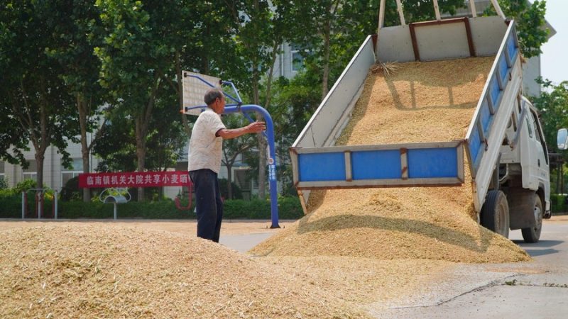 Enfoque: China tem grande safra de grãos de verão